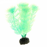 Растение светящееся в темноте 20см