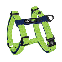 Joyser Шлейка для собак Walk Base Step-in Harness XL зеленая, 2,5*обхват шеи 38-65см, обхват груди 48-82см