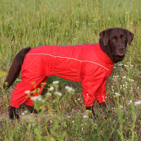 OSSO Fashion Комбинезон для собак красный, девочка (размер 70-1, спинка 70см, обхват груди 74-104см) 