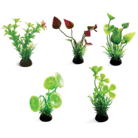 Laguna Растения разноцветные набор 5шт, 8см