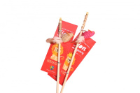 Дразнилка-удочка ЭКО для кошек Lion с экстрактом кошачьей мяты 42см LMG-К0036-E