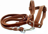 Аммуницион Шлейка+поводок с карабином №1 щенячья, 1*120см