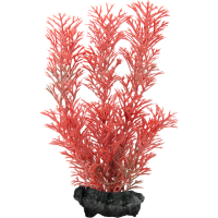 Tetra Deco Art искусственное растение Перистолистник  L (30 см)