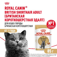 Royal Canin British Shorthair Adult Корм консервированный для взрослых британских короткошерстных кошек, соус