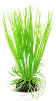 Пластиковое растение Plant 007-Акорус ЗЕЛЕНЫЙ. 10см