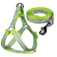 Triol Комплект шлейка и поводок нейлоновый Одуванчики-2 XS, 1,2*26-37см, 1,2*120мм