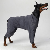 Lion Дождевик на девочку SDK-2550-135 серый, размер 3 (спинка 63см, обхват шеи 44-62см, обхват груди 48-80см)