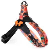 United Pets Шлейка для собак Complete me Forever оранжевая с рисунком, 1,5*34-42см