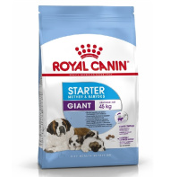 Royal Canin Giant Starter Сухой корм для щенков гигантских пород до 2-х месяцев, беременных и кормящих