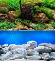 Фон плотный двусторонний ВОДНЫЙ САД/ЯРКИЕ КАМНИ 60см/15м (цена за 1 метр)