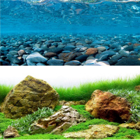 Аквариумный фон №11 Rive Rock/Sea of Green 60см/15м