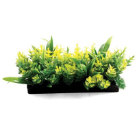 Laguna Растения композиция желтая, 5см