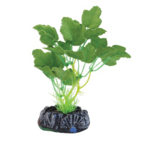 Laguna Растение шелковое Гидрокотила зеленое, 20см