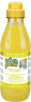 ISB Fruit of the Grommer Ginger&Elderbery Шампунь для любого типа шерсти проотив раздраж. и перх.500