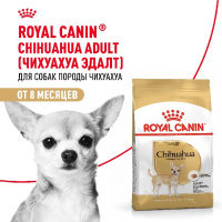 Royal Canin Chihuahua Adult Корм сухой для взрослых собак породы Чихуахуа от 8 месяцев