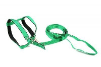 Геогазтехнология Шлейка для кошек нейлоновая на подкладке, ширина 1,4см