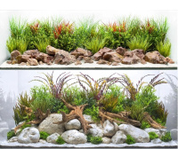 Аквариумный фон двухсторонний ПРИБРЕЖНЫЕ ПЕЙЗАЖИ/ НАСЫЩЕННАЯ РЕКА 30см*62см