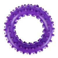 Зооник Игрушка для собак Кольцо с шипами №2, d6,8см