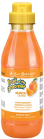 ISB Fruit of the Grommer Orang шампунь для слабой выпадающ. шерсти с силиконом 500мл