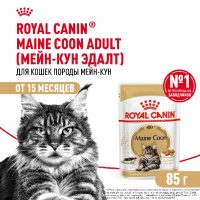 Royal Canin Maine Coon Adult Корм консервированный для взрослых кошек породы Мэйн Кун, соус