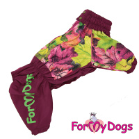 ForMyDogs Дождевик Листья бордовый для девочек 304/3SS-2018F, (размер А3, спинка 40см, обхват груди 60см) 