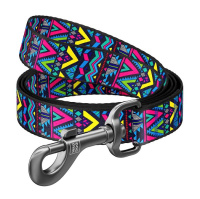 Waudog Поводок Nylon с рисунком Инди нейлоновый, 1,5*122см