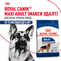Royal Canin Maxi Adult Корм сухой для взрослых собак крупных размеров от 15 месяцев до 5 лет