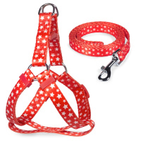 Triol Комплект шлейка и поводок нейлоновый Звездочки XS, 1*26-35см, 1*120см
