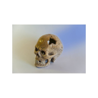 Грот Череп ГП2 (14,5*7*h12,5см)