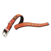 Ferplast Ошейник Dual CF25/45 Colours оранжевый, 2,5*45см
