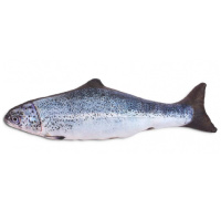 Чистый котик Игрушка для кошек с мятой Форель, 20см