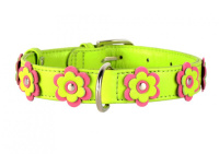 Collar Ошейник Glamour с украшением аппликация зеленый, 2*30-39см 