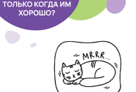 Кошка мурчит не только когда ей хорошо!