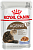 Royal Canin 85г пауч Ageing +12 Влажный корм для пожилых кошек старше 12 лет (желе)