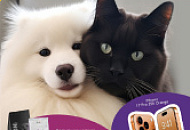 Питомец! Выиграй Айфон 17 про 256gb Питомец! Выиграй Айфон 17 про 256gb