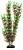 Пластиковое растение Plant 001- Перестолистник КРАСНЫЙ, 30см.