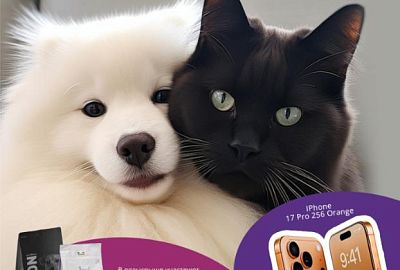 Купи корм и выиграй Айфон 17 про.