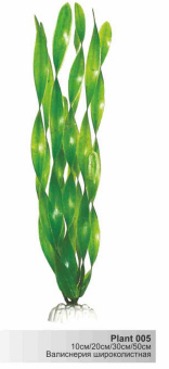 Пластиковое растение Plant 005-Валиснерия широколистная. 50 см