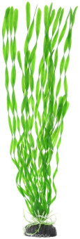 4627075161175.jpg