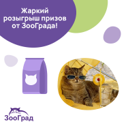 Актуальный розыгрыш!
