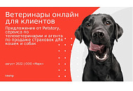 Ветеринары онлайн для клиентов Предложение от Petstory