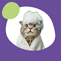 Косметика для кошек