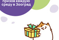 Розыгрыши каждую среду в наших соцсетях!