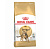 Royal Canin 400г Bengal Adult Сухой корм для взрослых кошек породы Бенгальская