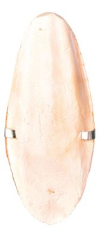 4011905050508.jpg