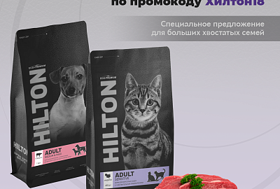 Хилтон  для Больших хвостатых компаний 