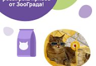 Актуальный розыгрыш!