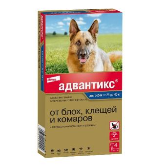 4007221017226.jpg