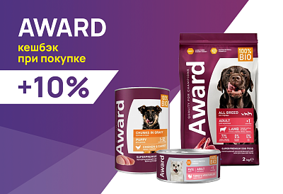 AWARD: кешбэк +10% на бонусную карту