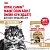 Royal Canin Maine Coon Adult Корм консервированный для взрослых кошек породы Мэйн Кун, соус